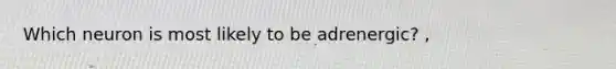 Which neuron is most likely to be adrenergic? ,
