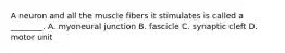 A neuron and all the muscle fibers it stimulates is called a ________. A. myoneural junction B. fascicle C. synaptic cleft D. motor unit