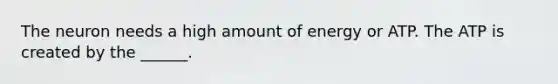 The neuron needs a high amount of energy or ATP. The ATP is created by the ______.
