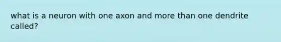 what is a neuron with one axon and more than one dendrite called?