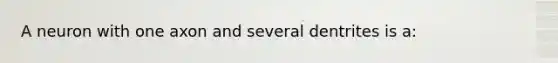 A neuron with one axon and several dentrites is a:
