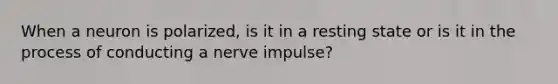 When a neuron is polarized, is it in a resting state or is it in the process of conducting a nerve impulse?