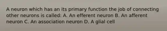 A neuron which has an its primary function the job of connecting other neurons is called: A. An efferent neuron B. An afferent neuron C. An association neuron D. A glial cell