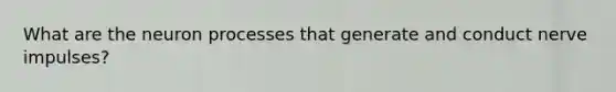 What are the neuron processes that generate and conduct nerve impulses?