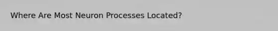 Where Are Most Neuron Processes Located?