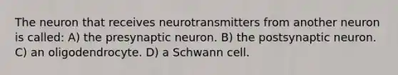 The neuron that receives neurotransmitters from another neuron is called: A) the presynaptic neuron. B) the postsynaptic neuron. C) an oligodendrocyte. D) a Schwann cell.