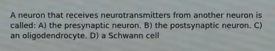 A neuron that receives neurotransmitters from another neuron is called: A) the presynaptic neuron. B) the postsynaptic neuron. C) an oligodendrocyte. D) a Schwann cell