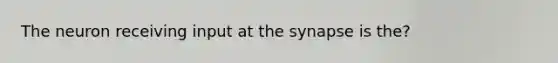 The neuron receiving input at the synapse is the?