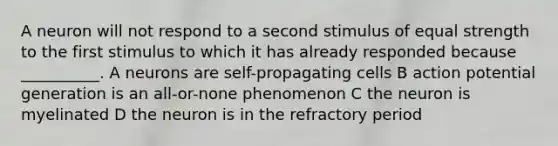 A neuron will not respond to a second stimulus of equal strength to the first stimulus to which it has already responded because __________. A neurons are self-propagating cells B action potential generation is an all-or-none phenomenon C the neuron is myelinated D the neuron is in the refractory period