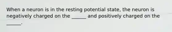 When a neuron is in the resting potential state, the neuron is negatively charged on the ______ and positively charged on the ______.