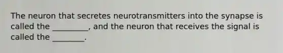 The neuron that secretes neurotransmitters into the synapse is called the _________, and the neuron that receives the signal is called the ________.