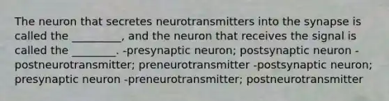 The neuron that secretes neurotransmitters into the synapse is called the _________, and the neuron that receives the signal is called the ________. -presynaptic neuron; postsynaptic neuron -postneurotransmitter; preneurotransmitter -postsynaptic neuron; presynaptic neuron -preneurotransmitter; postneurotransmitter