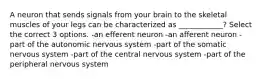 A neuron that sends signals from your brain to the skeletal muscles of your legs can be characterized as ____________? Select the correct 3 options. -an efferent neuron -an afferent neuron -part of the autonomic nervous system -part of the somatic nervous system -part of the central nervous system -part of the peripheral nervous system