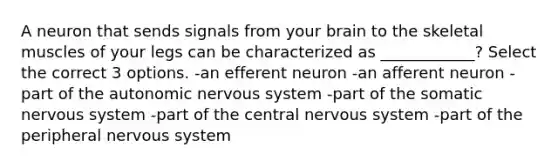 A neuron that sends signals from your brain to the skeletal muscles of your legs can be characterized as ____________? Select the correct 3 options. -an efferent neuron -an afferent neuron -part of <a href='https://www.questionai.com/knowledge/kMqcwgxBsH-the-autonomic-nervous-system' class='anchor-knowledge'>the autonomic nervous system</a> -part of the somatic nervous system -part of the central nervous system -part of the peripheral nervous system