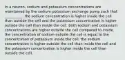 In a neuron, sodium and potassium concentrations are maintained by the sodium-potassium exchange pump such that __________. the sodium concentration is higher inside the cell than outside the cell and the potassium concentration is higher outside the cell than inside the cell. both sodium and potassium concentrations are higher outside the cell compared to inside. the concentration of sodium outside the cell is equal to the concentration of potassium inside the cell. the sodium concentration is higher outside the cell than inside the cell and the potassium concentration is higher inside the cell than outside the cell.