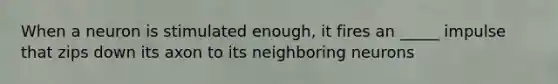 When a neuron is stimulated enough, it fires an _____ impulse that zips down its axon to its neighboring neurons