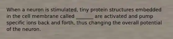 When a neuron is stimulated, tiny protein structures embedded in the cell membrane called _______ are activated and pump specific ions back and forth, thus changing the overall potential of the neuron.