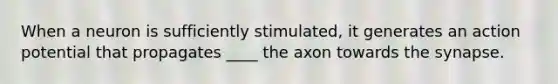 When a neuron is sufficiently stimulated, it generates an action potential that propagates ____ the axon towards the synapse.