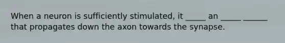 When a neuron is sufficiently stimulated, it _____ an _____ ______ that propagates down the axon towards the synapse.