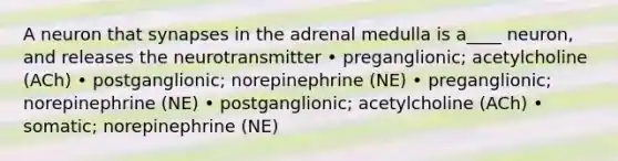 A neuron that synapses in the adrenal medulla is a____ neuron, and releases the neurotransmitter • preganglionic; acetylcholine (ACh) • postganglionic; norepinephrine (NE) • preganglionic; norepinephrine (NE) • postganglionic; acetylcholine (ACh) • somatic; norepinephrine (NE)