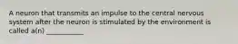 A neuron that transmits an impulse to the central nervous system after the neuron is stimulated by the environment is called a(n) ___________