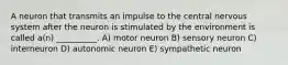 A neuron that transmits an impulse to the central nervous system after the neuron is stimulated by the environment is called a(n) __________. A) motor neuron B) sensory neuron C) interneuron D) autonomic neuron E) sympathetic neuron