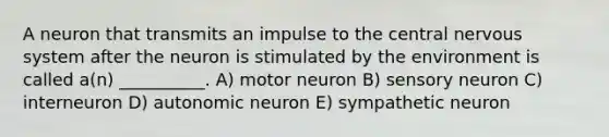 A neuron that transmits an impulse to the central nervous system after the neuron is stimulated by the environment is called a(n) __________. A) motor neuron B) sensory neuron C) interneuron D) autonomic neuron E) sympathetic neuron