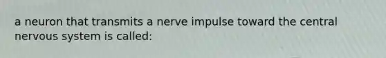 a neuron that transmits a nerve impulse toward the central nervous system is called: