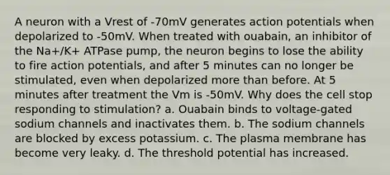 A neuron with a Vrest of -70mV generates action potentials when depolarized to -50mV. When treated with ouabain, an inhibitor of the Na+/K+ ATPase pump, the neuron begins to lose the ability to fire action potentials, and after 5 minutes can no longer be stimulated, even when depolarized more than before. At 5 minutes after treatment the Vm is -50mV. Why does the cell stop responding to stimulation? a. Ouabain binds to voltage-gated sodium channels and inactivates them. b. The sodium channels are blocked by excess potassium. c. The plasma membrane has become very leaky. d. The threshold potential has increased.