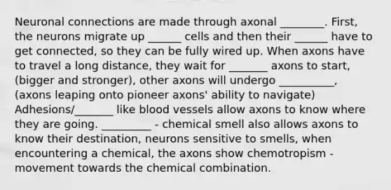 Neuronal connections are made through axonal ________. First, the neurons migrate up ______ cells and then their ______ have to get connected, so they can be fully wired up. When axons have to travel a long distance, they wait for _______ axons to start, (bigger and stronger), other axons will undergo __________, (axons leaping onto pioneer axons' ability to navigate) Adhesions/_______ like blood vessels allow axons to know where they are going. _________ - chemical smell also allows axons to know their destination, neurons sensitive to smells, when encountering a chemical, the axons show chemotropism - movement towards the chemical combination.