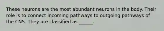 These neurons are the most abundant neurons in the body. Their role is to connect incoming pathways to outgoing pathways of the CNS. They are classified as ______.
