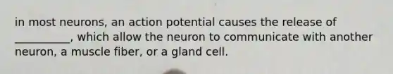 in most neurons, an action potential causes the release of __________, which allow the neuron to communicate with another neuron, a muscle fiber, or a gland cell.