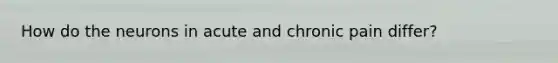 How do the neurons in acute and chronic pain differ?
