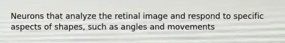 Neurons that analyze the retinal image and respond to specific aspects of shapes, such as angles and movements