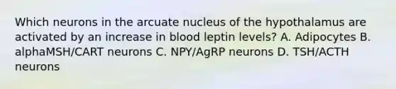 Which neurons in the arcuate nucleus of the hypothalamus are activated by an increase in blood leptin levels? A. Adipocytes B. alphaMSH/CART neurons C. NPY/AgRP neurons D. TSH/ACTH neurons