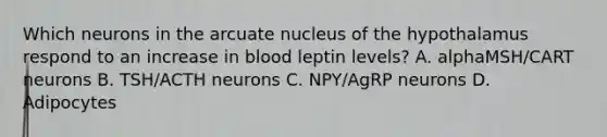 Which neurons in the arcuate nucleus of the hypothalamus respond to an increase in blood leptin levels? A. alphaMSH/CART neurons B. TSH/ACTH neurons C. NPY/AgRP neurons D. Adipocytes