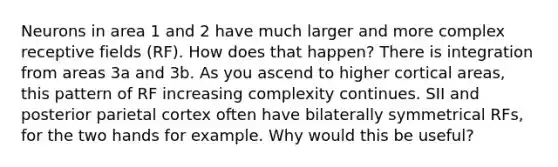 Neurons in area 1 and 2 have much larger and more complex receptive fields (RF). How does that happen? There is integration from areas 3a and 3b. As you ascend to higher cortical areas, this pattern of RF increasing complexity continues. SII and posterior parietal cortex often have bilaterally symmetrical RFs, for the two hands for example. Why would this be useful?
