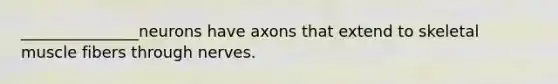 _______________neurons have axons that extend to skeletal muscle fibers through nerves.