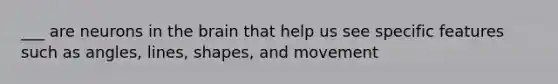 ___ are neurons in <a href='https://www.questionai.com/knowledge/kLMtJeqKp6-the-brain' class='anchor-knowledge'>the brain</a> that help us see specific features such as angles, lines, shapes, and movement