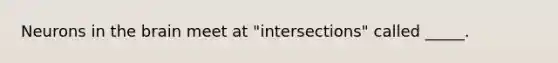 Neurons in the brain meet at "intersections" called _____.