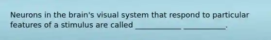 Neurons in the brain's visual system that respond to particular features of a stimulus are called ____________ ___________.