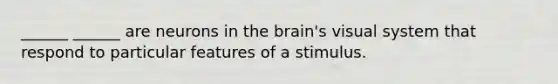 ______ ______ are neurons in the brain's visual system that respond to particular features of a stimulus.