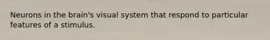 Neurons in the brain's visual system that respond to particular features of a stimulus.