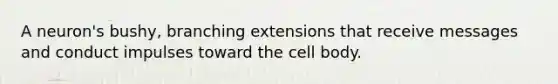 A neuron's bushy, branching extensions that receive messages and conduct impulses toward the cell body.