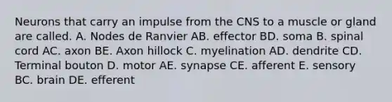 Neurons that carry an impulse from the CNS to a muscle or gland are called. A. Nodes de Ranvier AB. effector BD. soma B. spinal cord AC. axon BE. Axon hillock C. myelination AD. dendrite CD. Terminal bouton D. motor AE. synapse CE. afferent E. sensory BC. brain DE. efferent