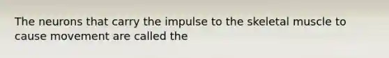 The neurons that carry the impulse to the skeletal muscle to cause movement are called the