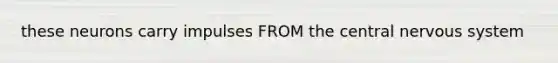 these neurons carry impulses FROM the central nervous system