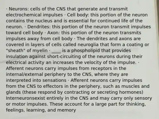 · Neurons: cells of the CNS that generate and transmit electrochemical impulses · Cell body: this portion of the neuron contains the nucleus and is essential for continued life of the neuron. · Dendrites: this portion of the neuron transmit impulses toward cell body · Axon: this portion of the neuron transmits impulses away from cell body · The dendrites and axons are covered in layers of cells called neuroglia that form a coating or "sheath" of myelin · ____ is a phospholipid that provides insulation against short-circuiting of the neurons during their electrical activity an increases the velocity of the impulse. · Afferent neurons carry impulses from receptors in the internal/external periphery to the CNS, where they are interpreted into sensations · Afferent neurons carry impulses from the CNS to effectors in the periphery, such as muscles and glands (these respond by contracting or secreting hormones) Interneuronsexist entirely in the CNS and may carry only sensory or motor impulses. These account for a large part for thinking, feelings, learning, and memory