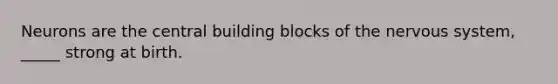 Neurons are the central building blocks of the nervous system, _____ strong at birth.