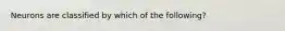 Neurons are classified by which of the following?